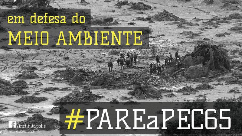 DICA CIDADANIA & MEIO AMBIENTE: DICA CIDADANIA & MEIO AMBIENTE: