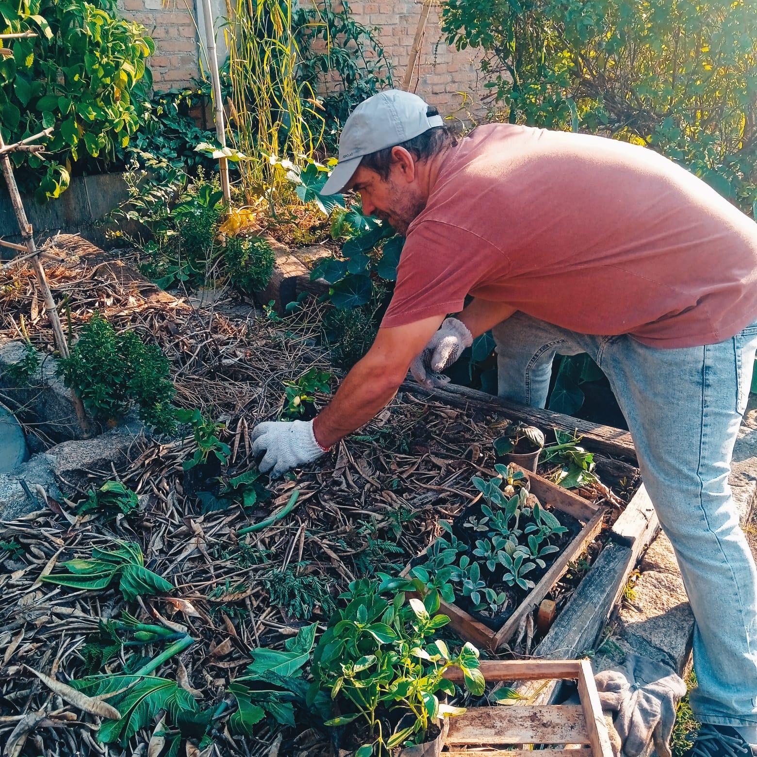 Plantio Coletivo no quintal da Casa