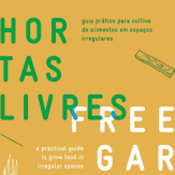  LANÇAMENTO GUIA DE MICROURBANISMOS