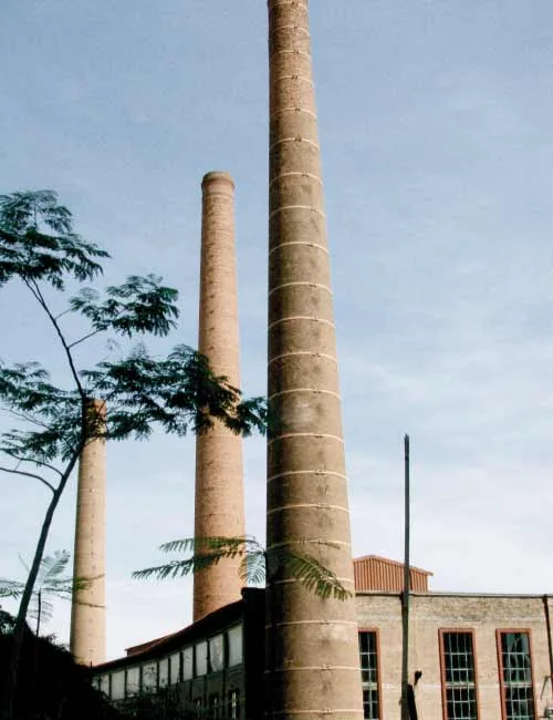 Bosque